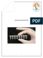 Polymerase Chain Reaction (PCR)