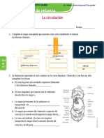 Ficha de Refuerzo La Circulación Jueves 15