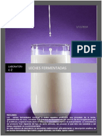 247810270 Informe Practica 2 Leches Fermentadas