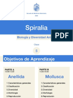Clase Anellida y Molusca Diversidad Animal