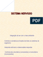 Aula 1 Neuro