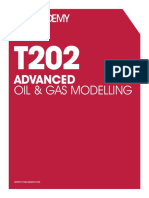 Advanced: Oil & Gas Modelling