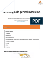 Semiologia Do Genital Masculino