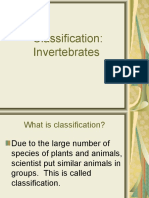 Classification: Invertebrates