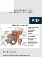 Anatomi Inguinal Dan Pemeriksaan