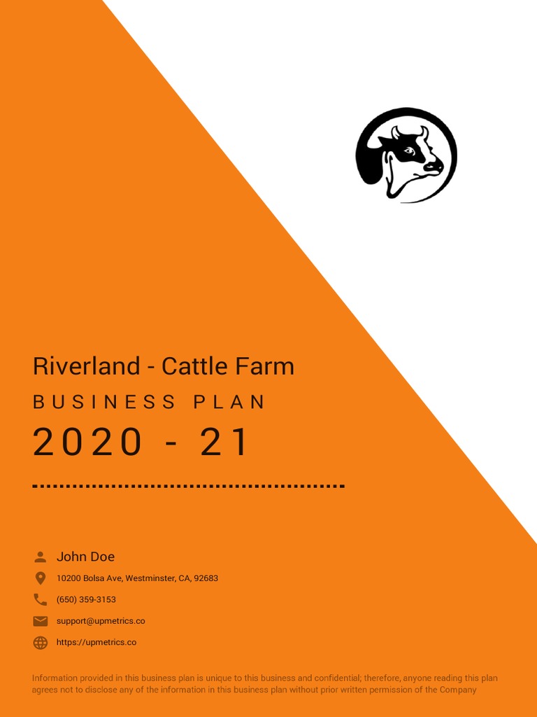 Cattle Farm Business Plan Example PDF Current Liability Calf