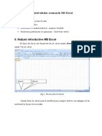 Elemente Avansate de Excel