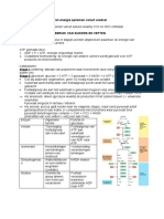 Biochemie C13