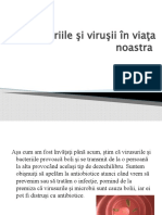 Bacteriile Şi Viruşii În Viaţa Noastra