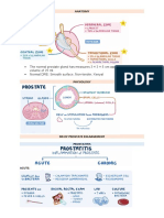 (R) Prostate Enlargement