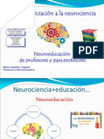 Introducci N A La Neurociencia Comprimido