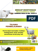 BAHAN TAYANG BOC Kambing Perah