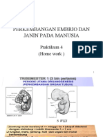 Perkembangan Embrio dan Janin Manusia