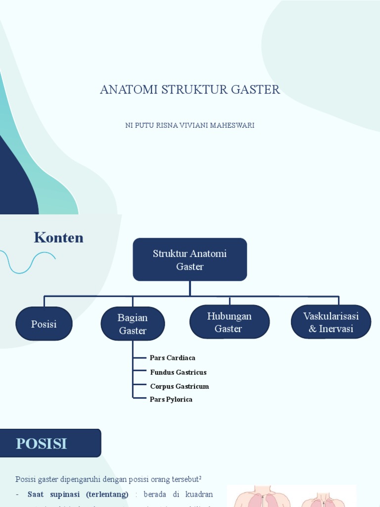 Struktur dan Fungsi Gaster | PDF | Ilmu Sosial