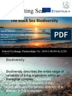 Black Sea Biodiversity