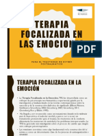 Terapia Focalizada en Emociones