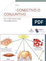 Clase Grabada 2-Tejido Conectivo 1