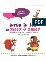 eBook Ziggy Zaggy