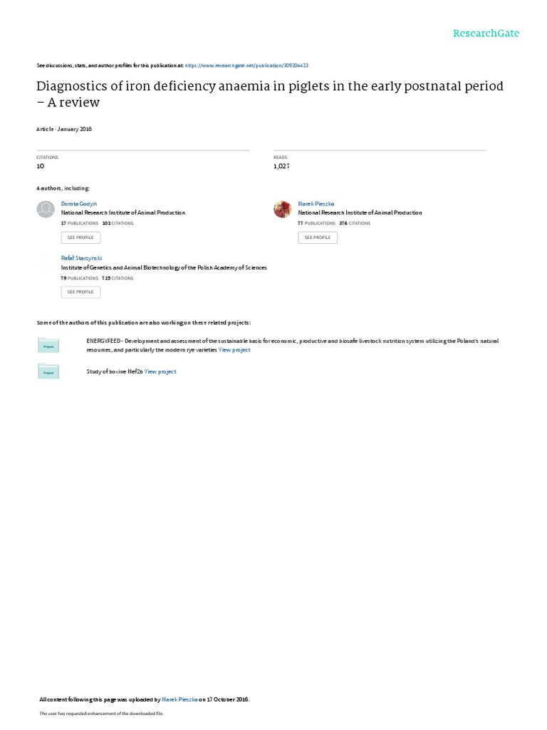 Piglet Anemia PDF Anemia Iron