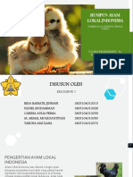 Rumpun Ayam Lokal Indonesia