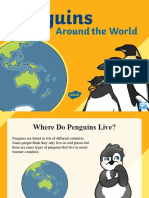 Where Penguins Live Around the World