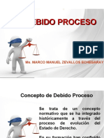 El Debido Proceso