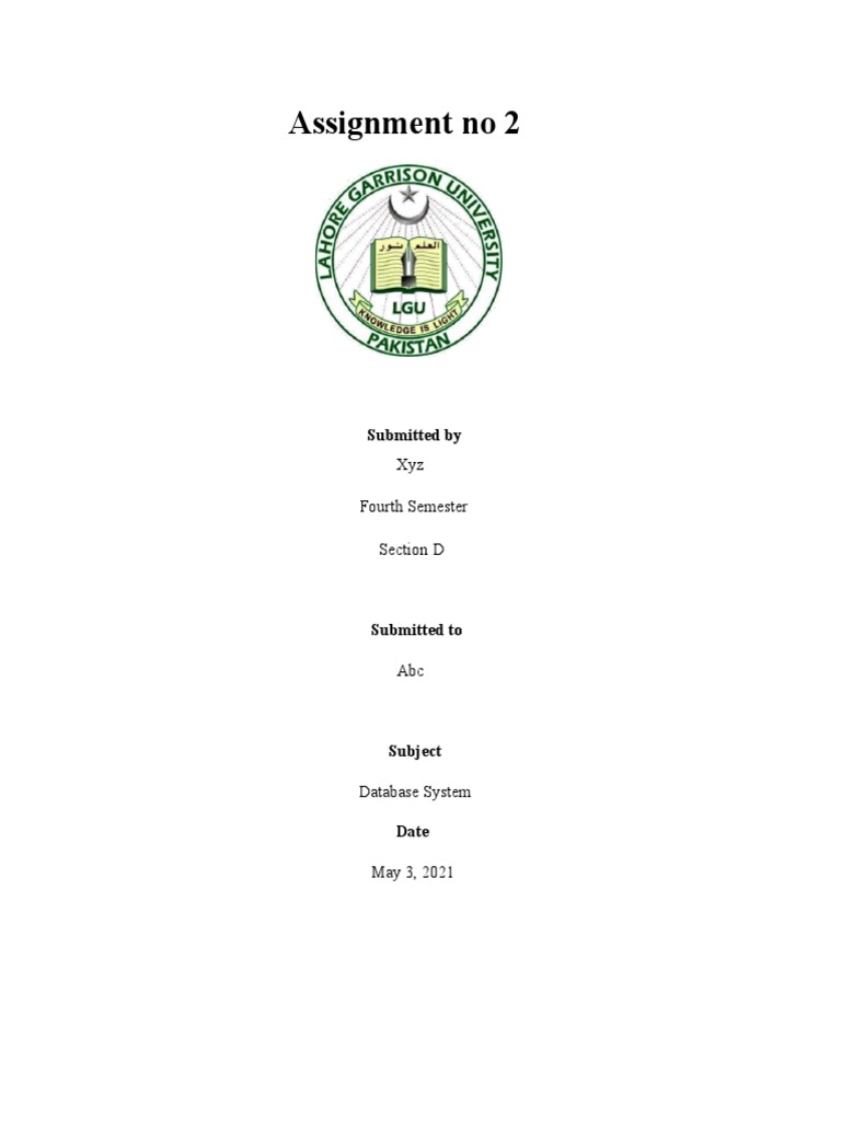 Database System ERD and Schema Assignment | PDF