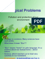 Ecological Problems: Pollution and Protection of Our Environment