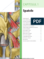Atlas de Anatomie Grant PDF