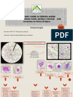 Imuno Aula Prática (Mapa ConceitualProva 2) - Gustavo Moises Barbosa de Oliveira