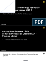 101 - UDP 8 - Modulo 6 - Proteção de Oracle RMAN - Linux e Windows