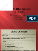 Ciclo Del Ácido Cítrico