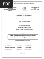 memoire final