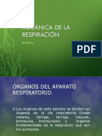 Mecánica de La Respiración