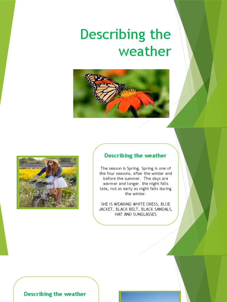 Describing The Weather | PDF