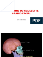 Anatomie Crane @