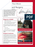 XLVets Equine Rebranded 087 Tie Forward Surgery Factsheet