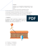 2 Avaliação de BIOLOGIA 1 Ano A, B, C, D