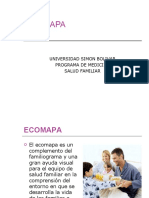 9 ECOMAPA