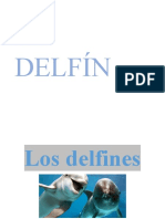 El Delfin