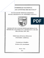 Geracion de Causales Mensuales Mediante El Metodo de Lutz Scholz en La Microcuenca Del Rio Pira,Huaraz ,1999-2013