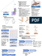 Glosario Traumatologia