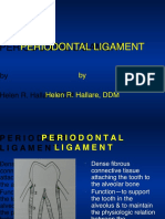 3 Periodontal Ligament