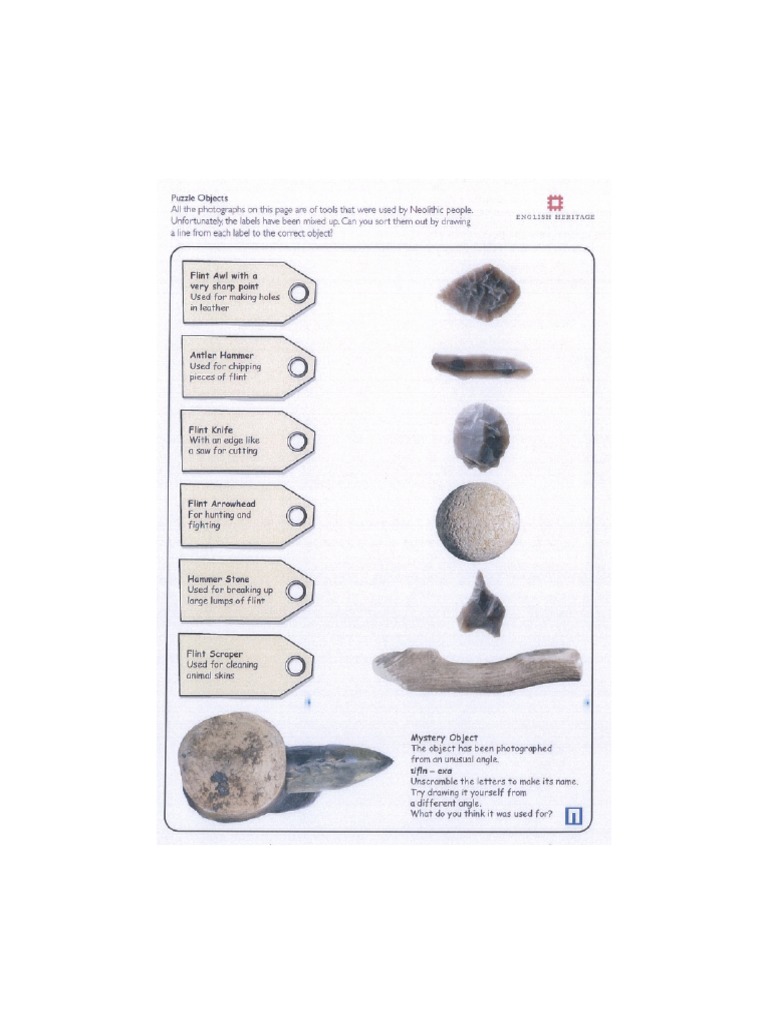 Stone Tools Worksheet | PDF