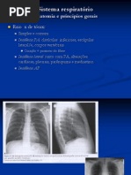 imagem toraxicw - pulmão e coração