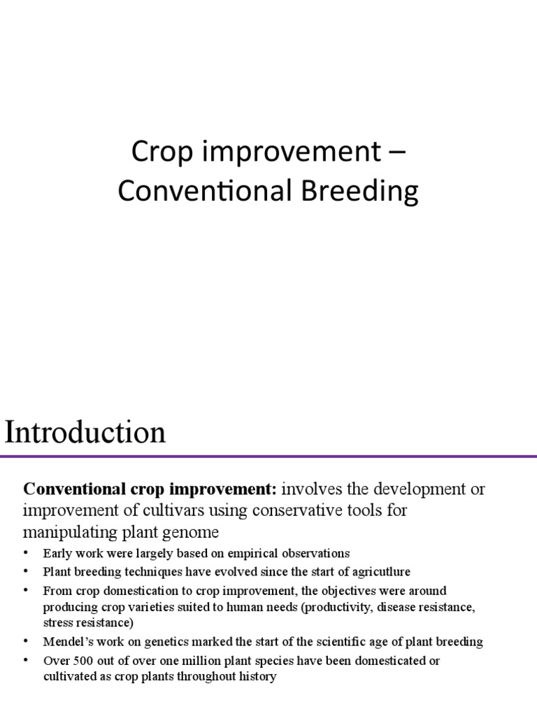 Conventional Methods of Crop Improvement | PDF | Plant Breeding | Wheat