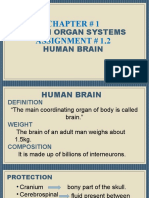Chapter # 1 Assignment # 1.2: Human Organ Systems Human Brain