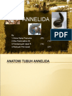 Annelida Copyright