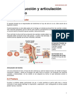 Producción y Articulación Del Tono