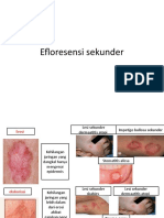 Efloresensi sekunder dan lesi kulit sekunder